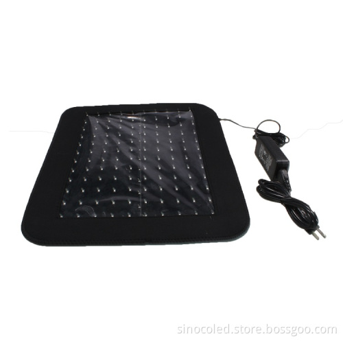 Hanoverian Horse Therapeutic Red LED Lamp